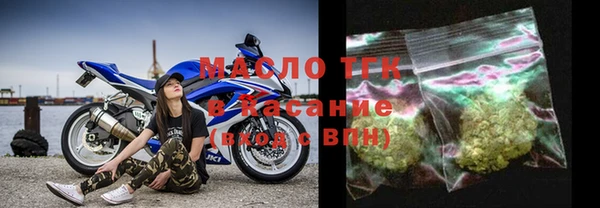 шишки Магас