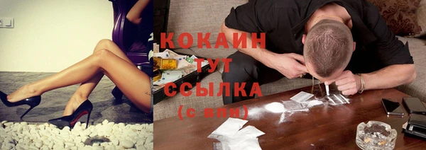 шишки Магас