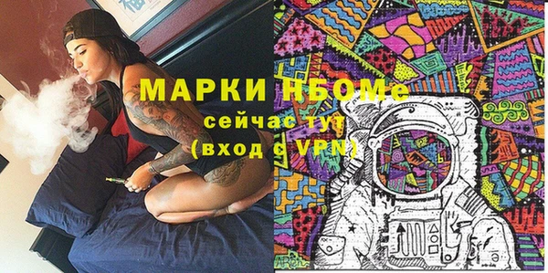 шишки Магас