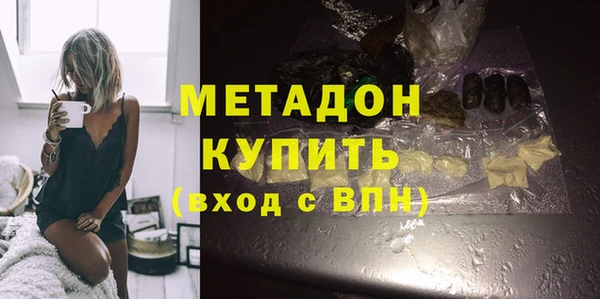 шишки Магас