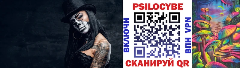 Купить где Окуловка Псилоцибиновые грибы Psilocybine cubensis