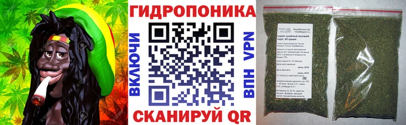 Купить закладки  Окуловка  Бошки Шишки сатива 